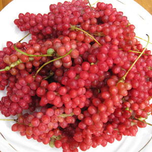 正宗野生新鲜水果五味子现摘鲜果泡酒泡茶秦岭深山秤砣500g现货