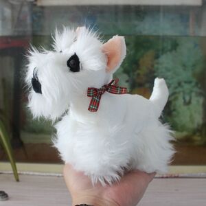 000人付款淘宝纯种博美犬幼犬活体长不大黄俊介家养茶杯小白狗小型犬