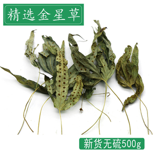 正宗金星草中药材鹅掌金星草鸭脚草煲汤鸭掌草七星草金鸡脚500g