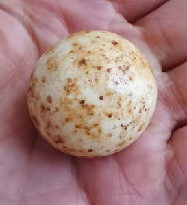 古玩 出土金刚坚固子 结缘 供舍利塔 嘎乌盒收藏