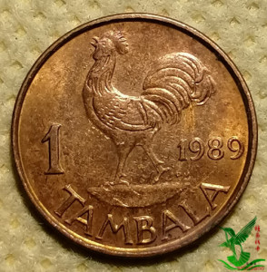 马拉维1989年  1坦巴拉17.2mm 外国硬币钱币外币收藏354