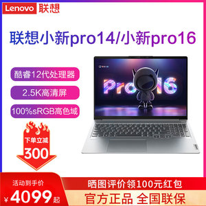 Lenovo/联想 小新Pro16/ pro14设计游戏轻薄笔记本锐龙版独显电脑