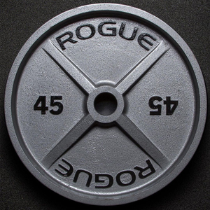 杠铃片rogue