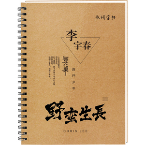 李宇春歌词本字帖 成人行书字帖 行草行楷硬笔钢笔临摹练字帖速成
