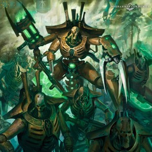 宝箱战锤40k 太空死灵9版圣典 规则 codex necrons