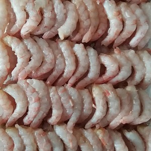 青岛蛎虾仁新鲜野生手剥虾仁红虾宝宝辅食冷冻水产250g/份4份包邮