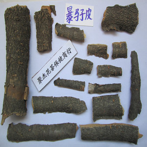 暴马子皮  帮帮木 暴马丁香树皮 暴马子树皮500克17元, 2件包邮