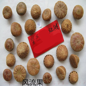 龟头果  风流果 天竺粒 骚头龟 龟头果粉 龟头子粉 风流果粉 粗粉
