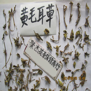 黄毛耳草 铜眼狮 腹泻草 500克13元,2件包邮