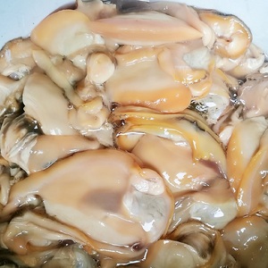 河蚌肉新鲜鲜活