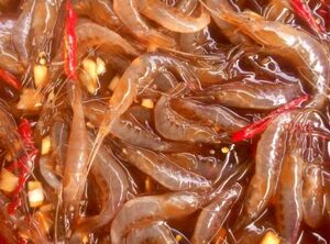 盐城特产 响水 东台特产活蹦乱跳的虾呛制而成,肉鲜,嫩500克