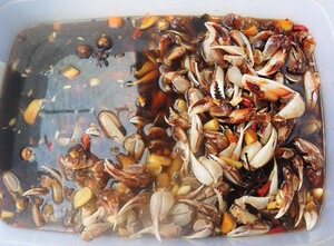 苏北盐城滨海阜宁响水射阳建湖大丰东台土特产特产醉生呛蟹钳