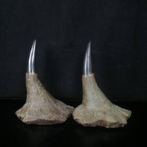 旧藏老犀牛角尖黑色牛角子一对文玩礼品文玩扭转乾坤礼品小摆件