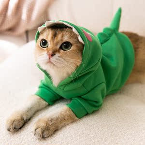 秋冬狗狗小恐龙连帽卫衣搞怪猫咪宠物衣服布偶猫蓝猫金渐层变身装