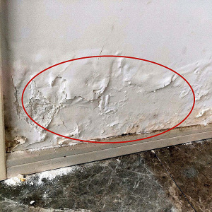 墙面修补翻新腻子粉补墙膏修补膏白色室内家用居家