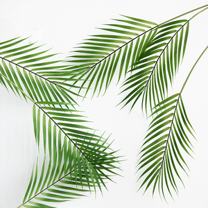 ins北欧风 网红店装饰奶茶店仿真绿植叶子 装饰树叶 摆拍道具摆件