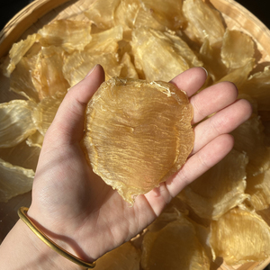 红鸡赤嘴鱼胶