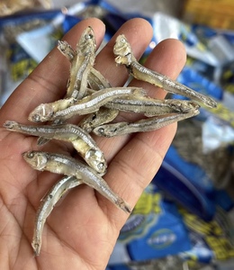 汕头南澳岛特产干货小绕鱼干淡干小鱼干爆炒辣椒好吃500g熟晒包邮