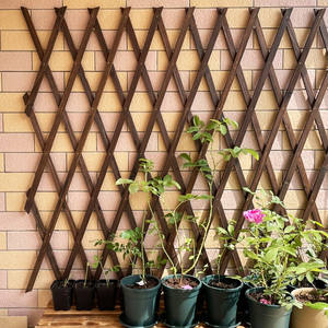 防腐木栅栏围栏花架爬藤架花园篱笆户外护栏伸缩木格栅网格阳台露