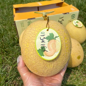 至爱蜜瓜新疆哈密瓜4斤2个装 冰火蜜瓜脆甜多汁新鲜水果包邮