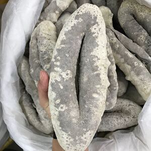 猪婆参 澳洲猪婆参深海乌石参秃参 黄玉参刺参淡干海参干货500g