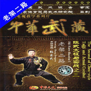 张东武陈式太极拳老架二路套路与实战u盘陈氏41式dvd光盘视频教程