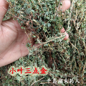 小叶三点金 斑鸠窝 辫子草,碎米柴,爬地香,哮灵草,小叶山绿豆