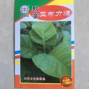 关东烟种籽亚布力旱烟种子东北庭院叶菜园农作物种籽旱烟烟种孑