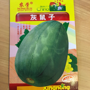 甜瓜种籽灰鼠子香瓜种子春季蔬菜种孑高产甜超甜瓜果种籽东北四季