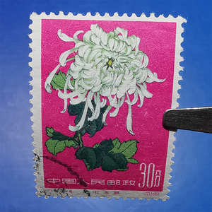 特44 菊花 18-16 信销30分 中国纪特文革编号jt编年邮票集邮收藏