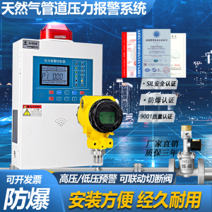 工业商用天然气压力报警器自动切断阀管道压力低压高压探测警报器