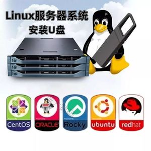 服务器Linux操作系统安装u盘搭建Ubuntu/centos小型服务器系统