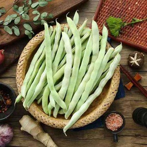 【白不老豆角】密云农家菜园豆角 豌豆 纯绿色食品 500g