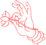 藏书章成品闲章印章定制篆刻书法书画手工刻章.:佛手莲花