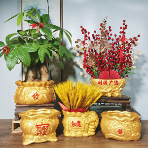 新款多肉发财树绿植喜庆金色元宝钱袋小口径中式复古创意陶瓷花盆