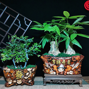 元宝花盆陶瓷盆招财