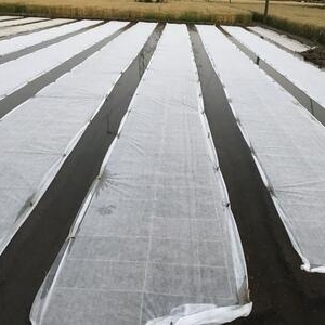水稻育秧无纺布白色抗老化农用育苗草坪绿化覆盖保温透明透气薄膜