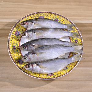 广东咸鱼台山广海特产咸香犬鱼干软鳞咸鱼干500g渔家自晒蚬鱼干