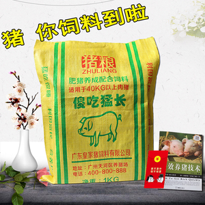 猪饲料零食大礼包送女生闺蜜男女朋友恶搞笑实用猪袋子生日礼物