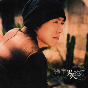 预定 张宇 男人的好 新歌 精选 2cd vcd 全新