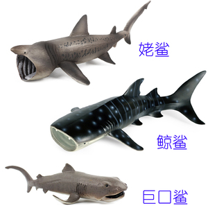 最大鲨鱼滤食性姥鲨蓝鲸鲨巨口鲨弓头鲸儿童认知海洋动物科教玩具