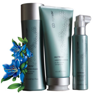 美国如新nuskin健发丰盈系列洗发水护发素健发滋养液
