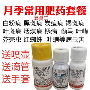 月季花常用药红蜘蛛蚜虫小黑飞杀虫剂白粉病黑斑病专用花药杀菌药