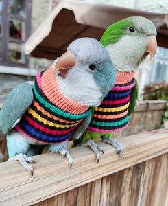 鹦鹉鸟保暖用品牡丹衣服玄凤八哥鹩哥衣服飞行服毛衣 格桑花原创