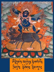 结缘除瘟忿怒莲师盔甲莲花生智悲佛像画像图像愤怒金刚铠甲塑封