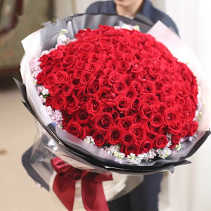 粉玫瑰鲜花沈阳