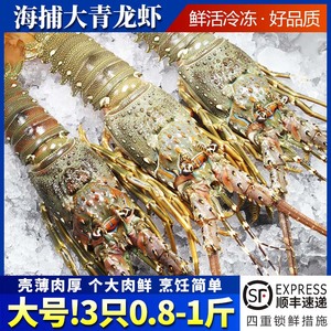 大龙虾青龙虾3只各0.8-1斤海鲜鲜活冷冻水产黑虎虾波龙年货送礼