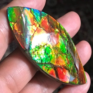 加拿大斑彩石斑彩螺鹦鹉螺原石化石天然彩宝吊坠挂件手把件包邮