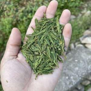 2022新茶嵊州三王堂龙井茶兰花香龙井43明前茶250克罐装