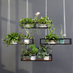 北欧酒吧吊挂花架铁链吊顶花盆架客厅阳台装饰垂挂层架绿植实木架